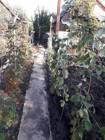 продам дачу в дачном кооперативе Родник 3 в районе с. Приветное Запорожье - изображение 1