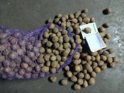 Продам картоплю від виробника власного виробництва Запорожье