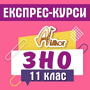 Експрес-курс підготовки до ЗНО Дніпро