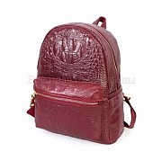 Красивый рюкзак для стильных девушек Бровары