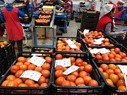 Продаем томаты Киев