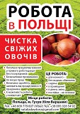 Чистка свіжих овочів Ивано-Франковск