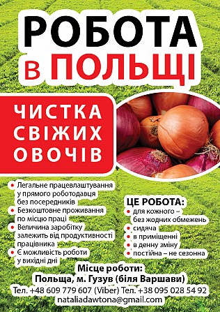Чистка свіжих овочів Ивано-Франковск - изображение 1