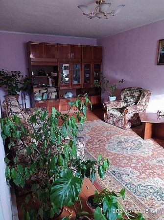 Продам пол дома Новомосковск - изображение 1