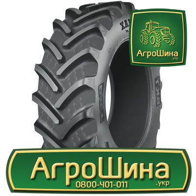 Сельхоз шина BKT AGRIMAX RT-765M 710/70R38 Киев - изображение 1