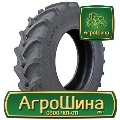 Агрошина. Tianli logo.