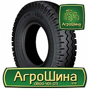 Сільгосп шина Днепрошина ДТ-49 8.25R15 Львов
