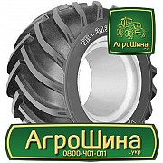 Сільгосп шина BKT TR-313 31.00/15.5R15 Львов