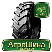 Сільгосп шина Белшина Бел-89 360/70R24 Львов