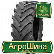 Сільгосп шина Белшина Бел-90 420/70R24 Львов