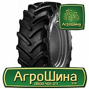 Сільгосп шина BKT AGRIMAX RT-765 320/70R24 Львов