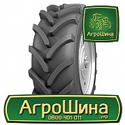 Сільгосп шина АШК NorTec TA-05 21.30R24 Львов