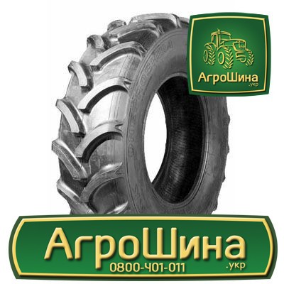 Сільгосп шина Днепрошина DT-151 16.90R28 Львов - изображение 1