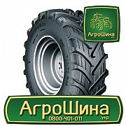 Сільгосп шина Днепрошина DN-165 900/60R32 Львов