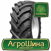 Сільгосп шина Trelleborg TM800 710/70R38 Львов