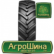 Сільгосп шина Белшина БЕЛ-126М 580/70R42 Львов