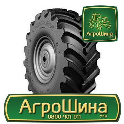 Сільгосп шина Белшина Бел-175 710/70R42 Львов - изображение 1