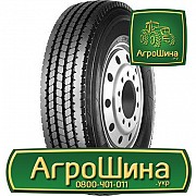 Вантажна шина Neoterra NT166 285/70 R19.5 146/144L Львов