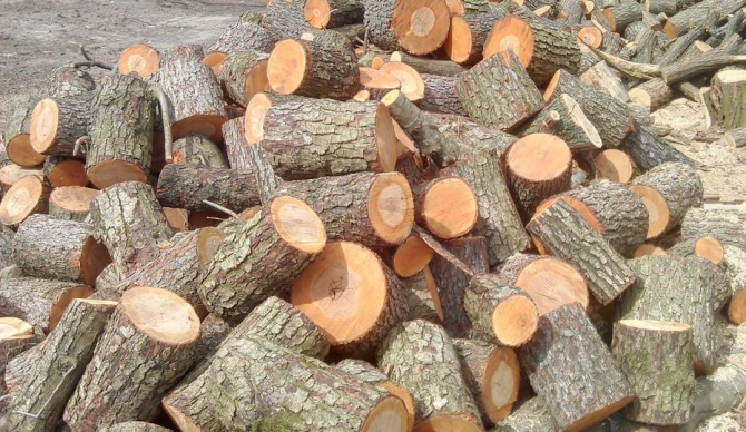 Продаю дрова з дуба, граба, берези з доставкою Ківерці Киверцы - изображение 1
