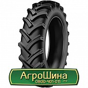 Шина 15.50/80R24 Starmaxx TR-60. Запорожье