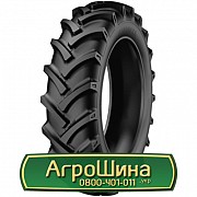 Шина 15.50/80R24 Starmaxx TR-60. Львов
