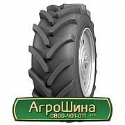Шина 21.30/R24 АШК NorTec TA-05. Київ