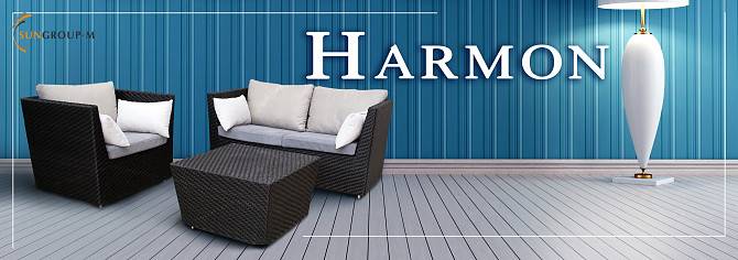 Комплект "Harmon" з штучного ротанга Ровно - изображение 1