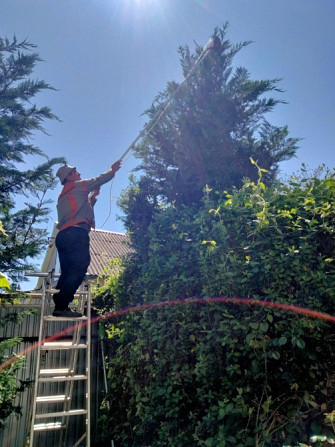 Садовник, обрезка сада, садовых деревьев, уход за садом Одеса Одесса - изображение 1