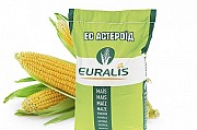 Продам семена кукурузы Астероид ЕС Евралис Житомир
