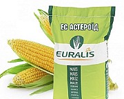 Продам насіння кукурудзи Астероїд ЄС Євраліс Луцк