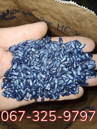 Продам насіння соняшника, м. Дніпро Днепр - изображение 1