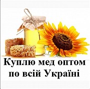 Куплю мед, закупка меду оптом, вся Україна! Киев