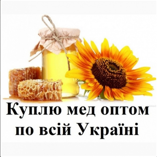 Куплю мед, закупка меду оптом, вся Україна! Київ - изображение 1