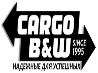 Таможенно-брокерское агентство - «CARGO B&W». Київ - изображение 1