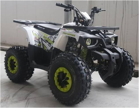 Forte Hunter 125 Квадроцикл бело/красный, бело/зеленый Ковель - изображение 1