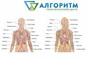 Образовательные услуги по всем школьным предметам Днепр