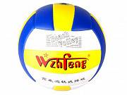 Профессиональный волейбольный мяч Бровары