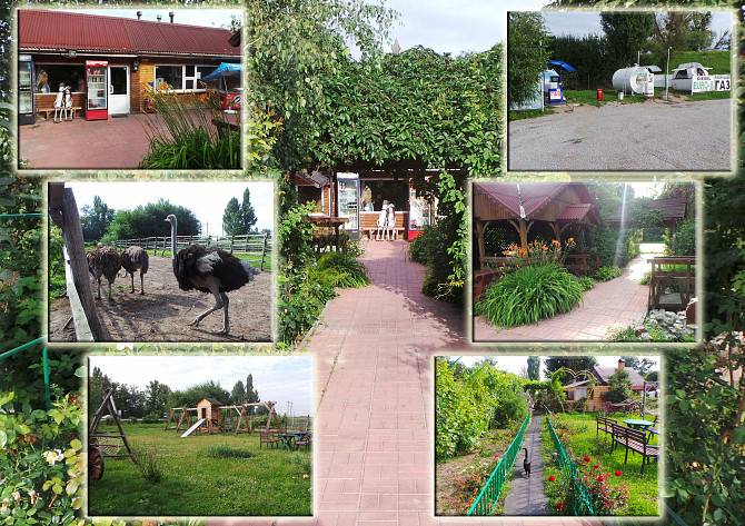 Продам действующий бизнес возле Киева Київ - изображение 1