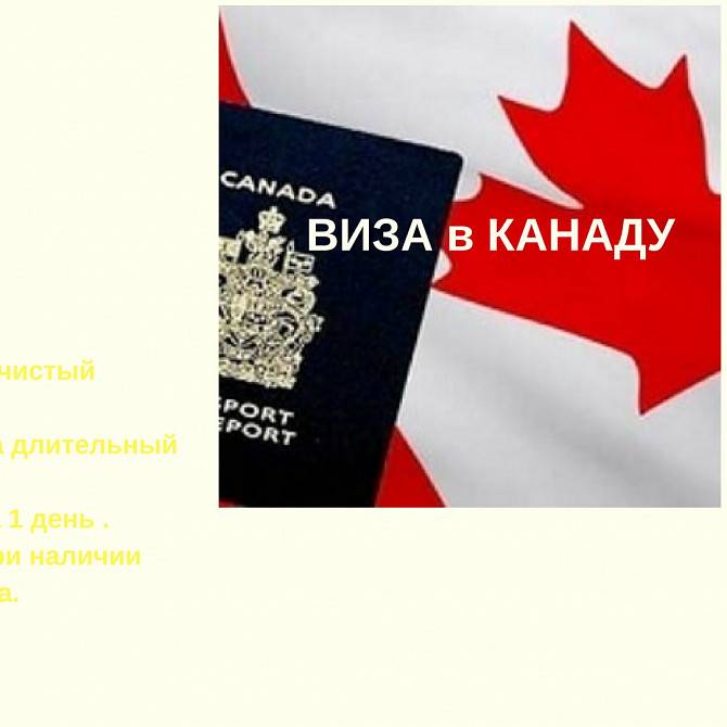 ВИЗОВАЯ ПОДДЕРЖКА! В КИЕВЕ Киев - изображение 1
