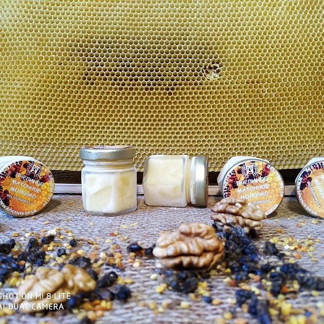 Маточное Молочко Пчелиное Днепр - изображение 1