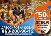 Дрессировка собак в Одессе Одесса