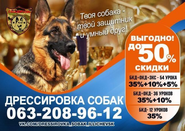Дрессировка собак в Одессе Одесса - изображение 1