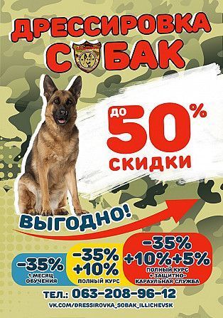 Дрессировка собак Одесская область Одесса - изображение 1