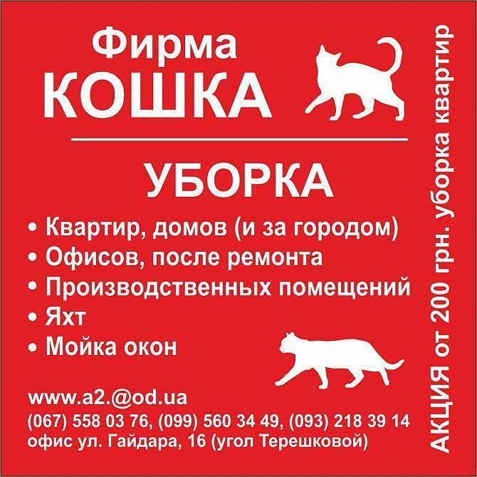 Уборка квартир, домов, офисов Одесса - изображение 1