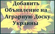 Реклама для агробизнеса. АГРО объявления на агро-досках. Одесса. Одесса