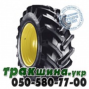 Titan 230/95 R48 136D/136A8 R1W AG49M (с/х) Харьков