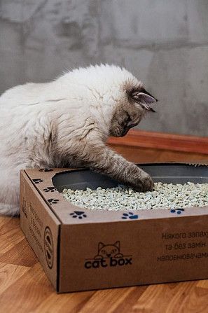 туалет для котов Cat Box Киев - изображение 1