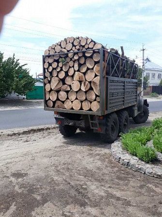 Продам Дрова Дубовые Харьков - изображение 1