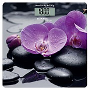 Весы напольные Scarlett SC-BS33E067 Київ