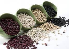 Квасоля (фасоль) продаж Черкассы - изображение 1